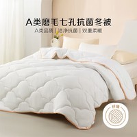 水星家纺出品百丽丝被子A类春秋被被芯7A级抑菌 七孔蓬松纤维被冬被 【A类|七孔透气纤维】冬被 220cm×240cm