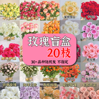 与花同行多头泡泡玫瑰鲜花斗南基地批发直发室内办公室水养送礼婚庆花束 20枝【40-60个花苞】随机多头玫瑰 基地直发 长度35-45cm