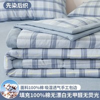 AIDLIA类100%新疆棉夏凉被空调被印花可水洗机洗单双人薄被子被芯 里外全棉-森蓝格 150x200cm单夏被