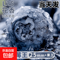 高山云南蓝莓现摘孕妇高端整箱当季新鲜水果怡颗25花香蓝梅 L25_中果【12-15mm】单盒125g 6盒