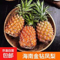 海南金钻凤梨 新鲜无眼菠萝热带孕妇水果当季整箱 金钻凤梨净重4.5-5斤3-5个