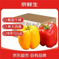 京鲜生山东双色水果五彩椒 生吃甜椒净重3斤单果150克起源头直发