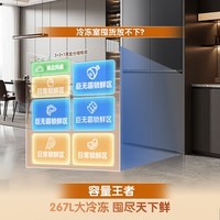 容声(Ronshen)大冰象603L十字门冰箱2026新款大容量双系统双净嵌入式新一级能效国家补贴 BCD-603Q50CZLBD灰 BCD-603Q50CZLBD 星耀灰