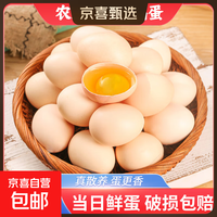 京喜加 鲜鸡蛋 土鸡蛋  五谷喂养 山林自养鸡蛋早餐 生鲜超市买菜40g 10枚 500g【含箱】