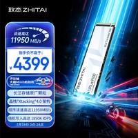 致态(ZhiTai)长江存储 4TB SSD固态硬盘 NVMe M.2接口 TiPlus9100 系列 (PCIe 5.0 产品)