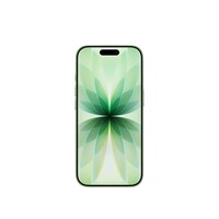 Apple/苹果 iPhone 17 256GB 鼠尾草绿色 支持移动联通电信5G 双卡双待手机【返移动话费券】