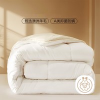 水星家纺出品百丽丝 羊毛被澳洲进口羊毛A类羊毛被子被芯保暖抗菌冬被春秋 【A类澳洲进口羊毛】加厚冬被(约5-9斤) 双人被1.8/2米(被芯220*240cm)