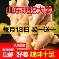 山东窖藏大黄姜5斤新鲜生姜老姜沙姜月子姜农家现挖当季蔬菜 1斤