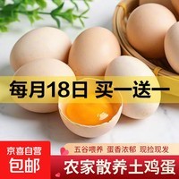 京喜加土鸡蛋 新鲜鸡蛋山林自养 生鲜溏心蛋 卤蛋早餐京东买菜40g正负5g 10枚装总重400g+