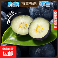 云南蓝莓【JD快递多地】超大果蓝莓 新鲜水果单盒净重90g+ 12盒装【含盒100-115g/盒】 中果【单果15mm+】