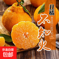 热销NO.1 正宗四川不知火丑橘 丑八怪 橘子桔子 新鲜应季时令水果 丑橘中果 带箱2斤【尝鲜版】 JDL-京东快递  更好更快