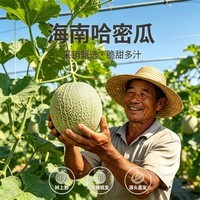 京觅海南西州蜜晓蜜25号哈密瓜净重4.5-5斤单果2.3斤水果源头直发