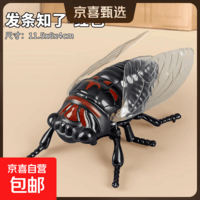 仿真爬行动物新款上链发条知了发条玩具昆虫创意玩具夏蝉金蝉模型 红色知了一只