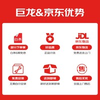 巨龙电动摩托车 载重王通用版【拉货摆摊神器】电动车长续航大动力外卖车送货载货送水送快递金马金牛