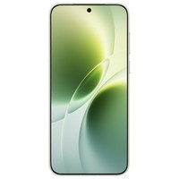 vivo X300s 16GB+512GB 胶片绿 蔡司2亿超级主摄 蔡司APO超级长焦 144Hz 蔡司大师色彩屏 拍照 AI手机