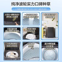 小天鹅（LittleSwan）直驱变频波轮洗衣机全自动 家用抗菌拨盘滤网 一级能效 省水省电更节能 以旧换新 【升级一级能效】去污超净洗1.25洗净比 波轮