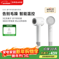 追觅韶光G20家用电吹风恒温速干吹风筒负离子高速护发无叶吹风机 象牙白AHD12B 跨年送礼礼物