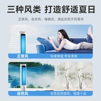 格力（GREE）语音冷风扇家用智能制冷风空调扇客厅无叶落地扇卧室遥控电风扇负离子加湿加水降温 KS-04X80Dg