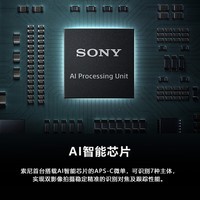 索尼（SONY）Alpha 6700 APS-C微单相机 创意滤镜 AI智能芯片 (ILCE-6700/a6700） A6700单机身 官方标配