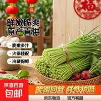 生鲜蔬菜农家蒜薹超市品质蒜苔健康好吃超低价产地直发 河北净重1.8斤（经济装）