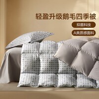 水星家纺出品百丽丝【清仓秒杀】羽绒被四季被鹅毛冬被控温加厚被芯 抗菌鹅毛四季被-蓝灰色 200cm×230cm