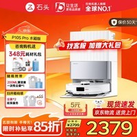 石头（roborock）P10S Pro 扫地机器人扫拖一体自动清洗全自动上下水集尘热水洗拖布免洗 擦地拖地机器人 P10S Pro水箱版