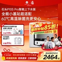 石头（roborock） 石头扫地机器人扫拖一体 P10S Pro 扫拖洗烘一体机 自动集尘热水洗拖布烘干补水擦地拖地机 石头P10S PRO上下水版