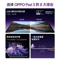 OPPO Pad 3 11.61英寸柔光版平板电脑 8GB+256GB 霞光紫 办公游戏学习一加平板 国家补贴