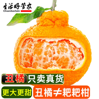 生活&好管家四川不知火丑橘新鲜水果丑八怪丑柑应季橘子整箱柑橘应季水果 8.5-9斤【果径70-75mm】净重8斤