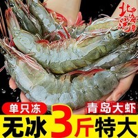 北海湾 虾 青岛大虾鲜活冷冻基围虾 虾类 海鲜水产生鲜白虾青虾海虾对虾 气冻大虾 3斤(净重)  17-21cm【单只冻 超大虾王】