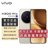 vivo X300 Pro蔡司2亿APO超级长焦 蓝图影像双芯 5年持久流畅OriginOS 6 AI手机 BH30 旷野棕 16GB+512GB 官方标配