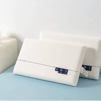 可水洗深睡记忆枕白色枕头枕芯 单只 低枕 6cm 42x70x/只