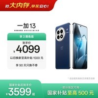 一加 13 16GB+512GB 蓝调时刻 oppo 国家补贴 高通骁龙®8至尊版 6000mAh 冰川电池 智能AI游戏5G手机
