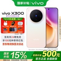 vivoX300 国家补贴新品5G旗舰vivo x300上市  蔡司2亿超级主摄APO超级长焦5年持久流畅AI手机办公拍照 幸运彩 12GB 512GB 官方标配版