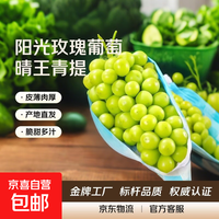 A现摘现发大凉山晴王阳光玫瑰自带花香高山果园应季青提水果生鲜 中果单果6g 带箱四斤(性价比)