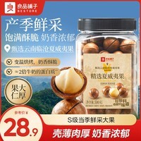 良品铺子奶香夏威夷果大颗粒夏威夷果家庭量贩装零食 【22-25mm大果】精选夏威夷果500g*1罐