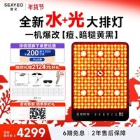 SEAYEO昔又大排灯Pro Max光子嫩肤美容仪红蓝光面罩面膜仪家用美容仪器 Max