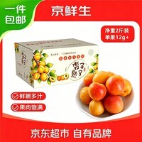 京鲜生新疆吊干杏 净重2斤 单果12g+ 生鲜水果礼盒 源头直发包邮
