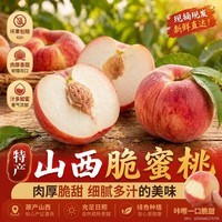京世泽 山西蜜脆桃 当季甜桃孕妇水果毛桃大桃子现摘新鲜水果 店长力荐5斤装丨净重4.5斤 单果130g+