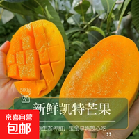 攀枝花凯特芒四川青黄皮生熟两吃核薄无丝采摘汁多肉厚大果整箱 带箱8斤净重7.5斤单果800g