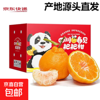耙耙柑 春见耙耙柑 柑橘水果 水果礼盒 源头直发 8斤大果【70mm+】净重7.5斤