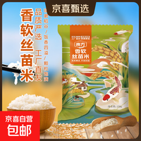 当季新米软香丝苗米晚稻籼米长粒香大米猫牙米煲仔饭米晚稻米 软香丝苗米250g