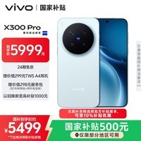 vivo X300 Pro 16GB+512GB 自在蓝 蔡司2亿APO超级长焦 蓝图影像双芯 5年持久流畅OriginOS 6 AI手机