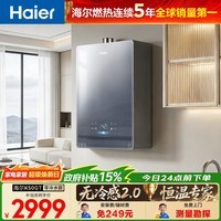 海尔（Haier）【咨询客服领优惠】【小海鲸K50GT】燃气热水器天然气家用16升无冷感7A一级恒温增压零冷水 16L 【无冷感K50GT】
