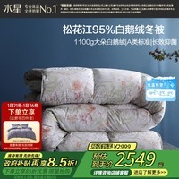 水星家纺羽绒被95%白鹅绒被子冬季加厚冬被芯双人羽绒被220cm×240cm-1100g