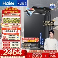 海尔全自动波轮洗衣机12KG 大容量家用 直驱电机强效洁净 精华洗 升级手搓3.0防缠绕 十重减震智能投放