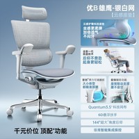 Ergonor保友优b雄鹰 人体工学椅电脑椅舒适办公椅电竞椅 银白(云感座垫)