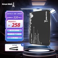 长城（Great Wall) 240GB SSD固态硬盘 SATA3.0接口 读速520MB/S台式机/笔记本通用 GW520系列