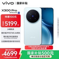 vivo X300 Pro 12GB+256GB 自在蓝 蔡司2亿APO超级长焦 蓝图影像双芯 5年持久流畅OriginOS 6 AI手机