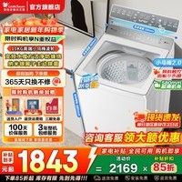 小天鹅(LittleSwan)波轮洗衣机全自动家用10/12公斤纯平全嵌小乌梅2.0水魔方防缠绕超微净泡变频一级能效以旧换新补贴 【小乌梅】纯白款水魔方|10KG 波轮 VE20DW